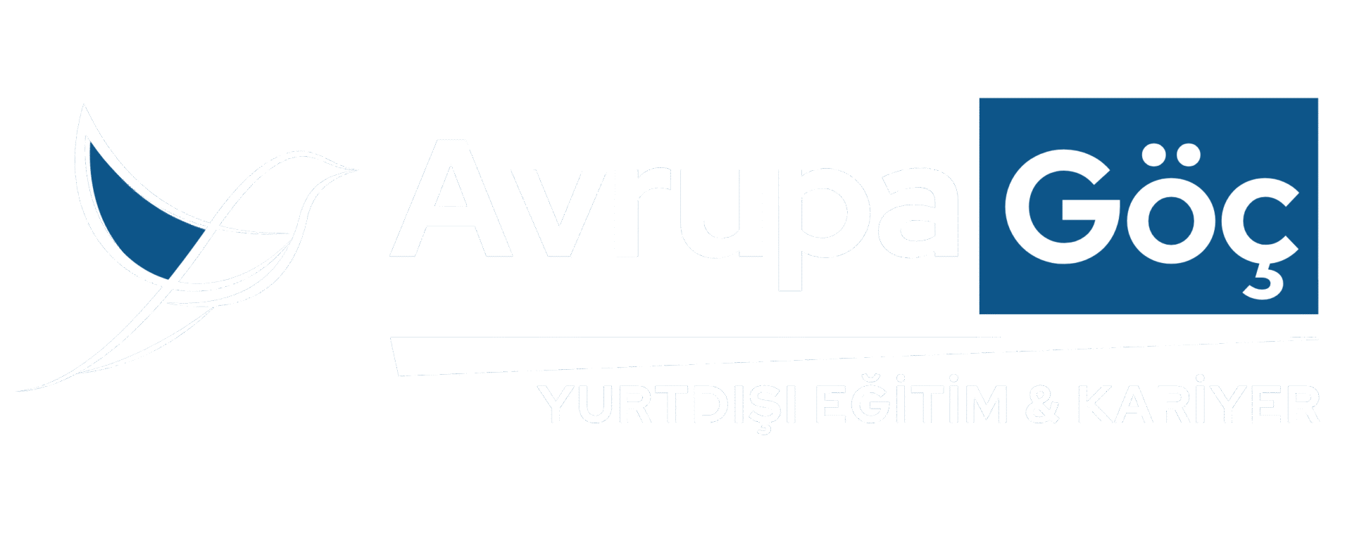Avrupa Göç Yurtdışı Eğitim ve Kariyer